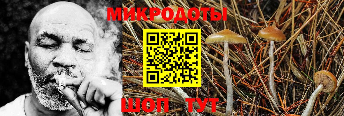 Всеволожск  Псилоцибиновые грибы Magic Shrooms  Вход с VPN 